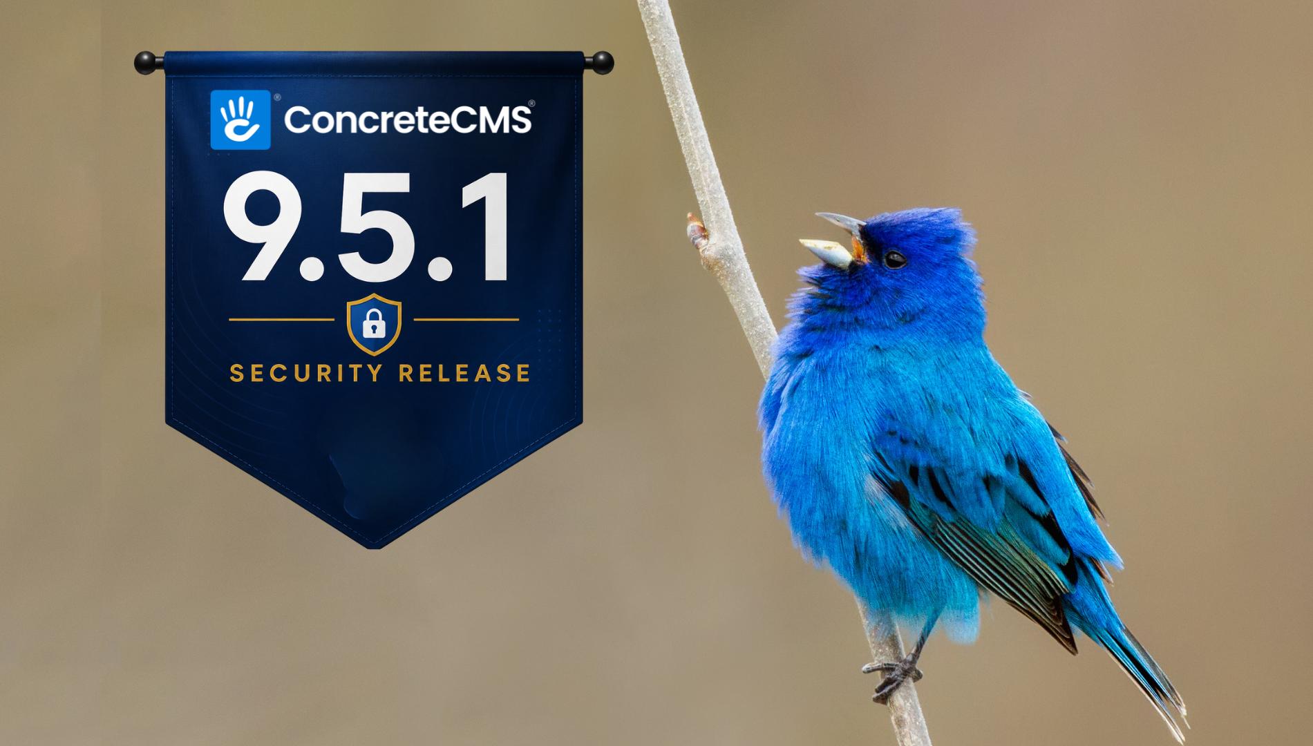 Concrete CMS 9.5.1 Security Release: 35 Vulnerabilities Resolved