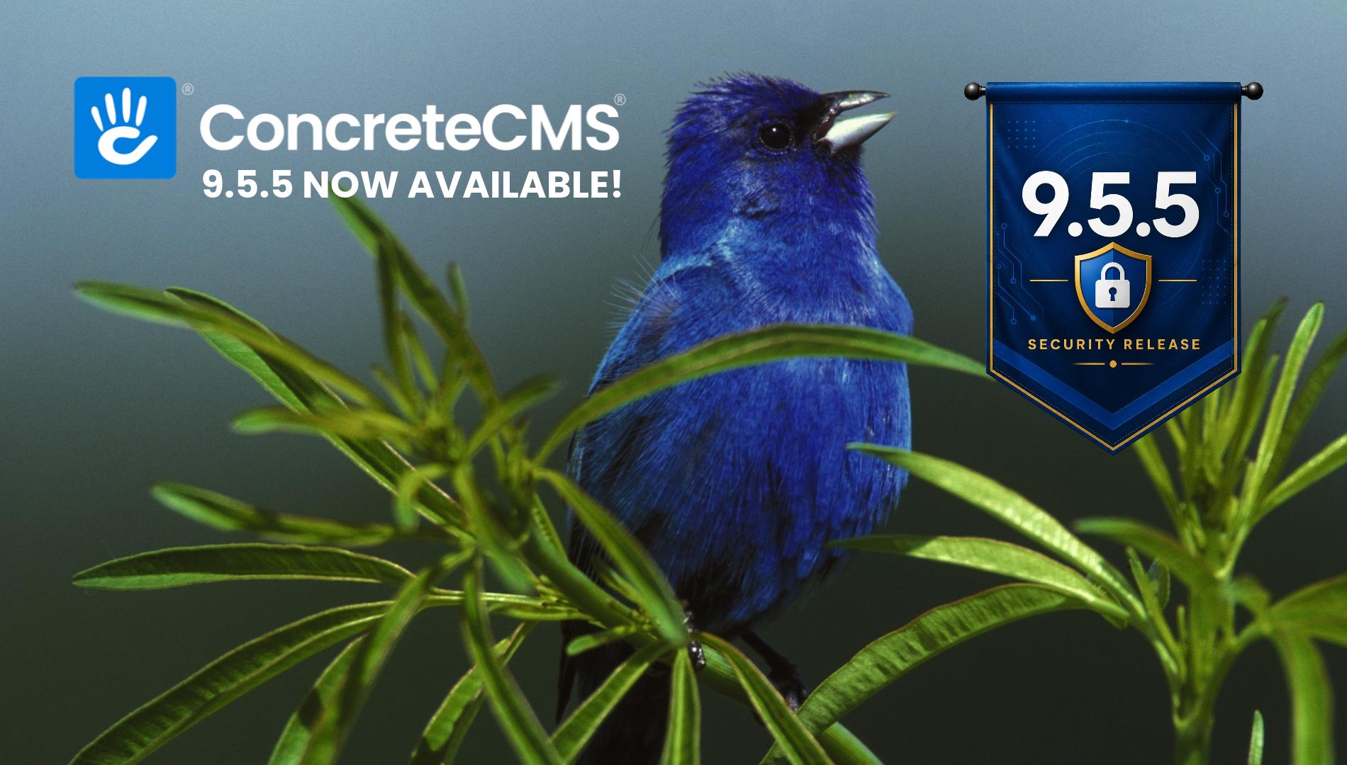 Concrete CMS 9.5.5 Is Available