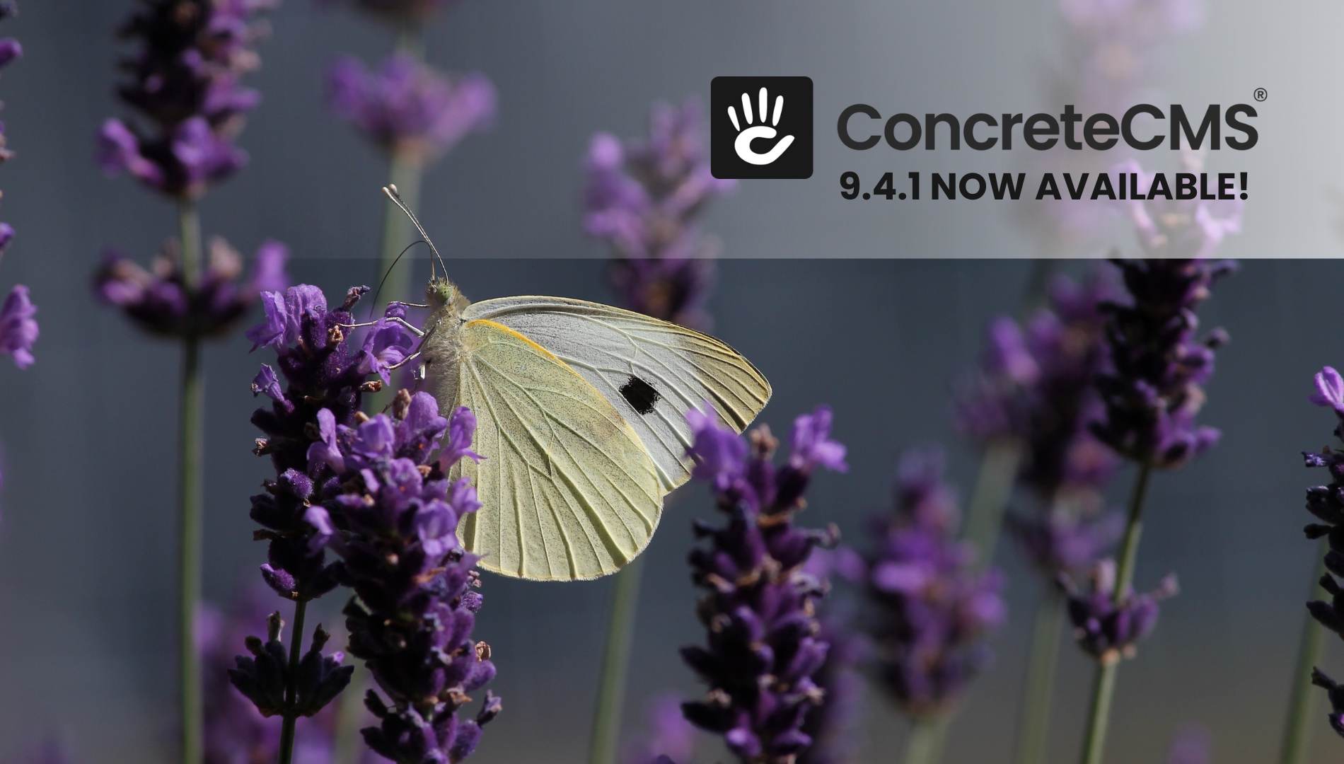 Announcing Concrete CMS 9.4.1 Release