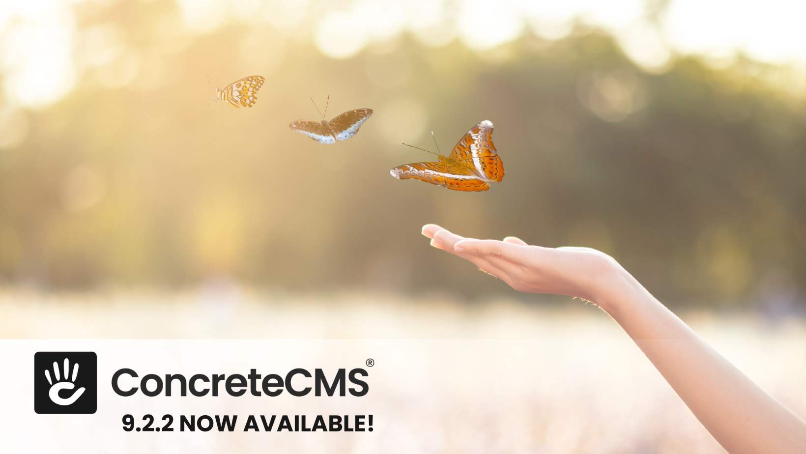 Announcing CMS 9.2.2 Release and 8.5.13
