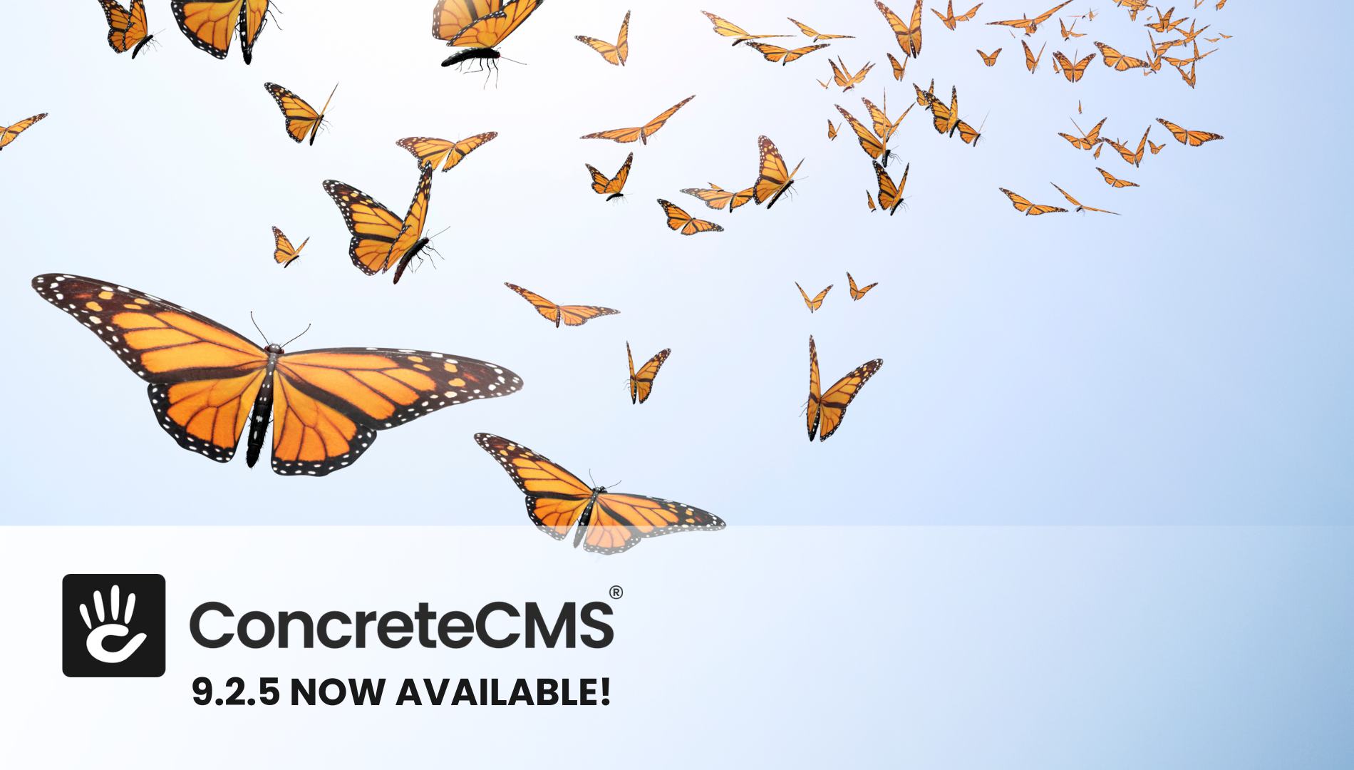 Concrete CMS 9.2.5 is Now Available!