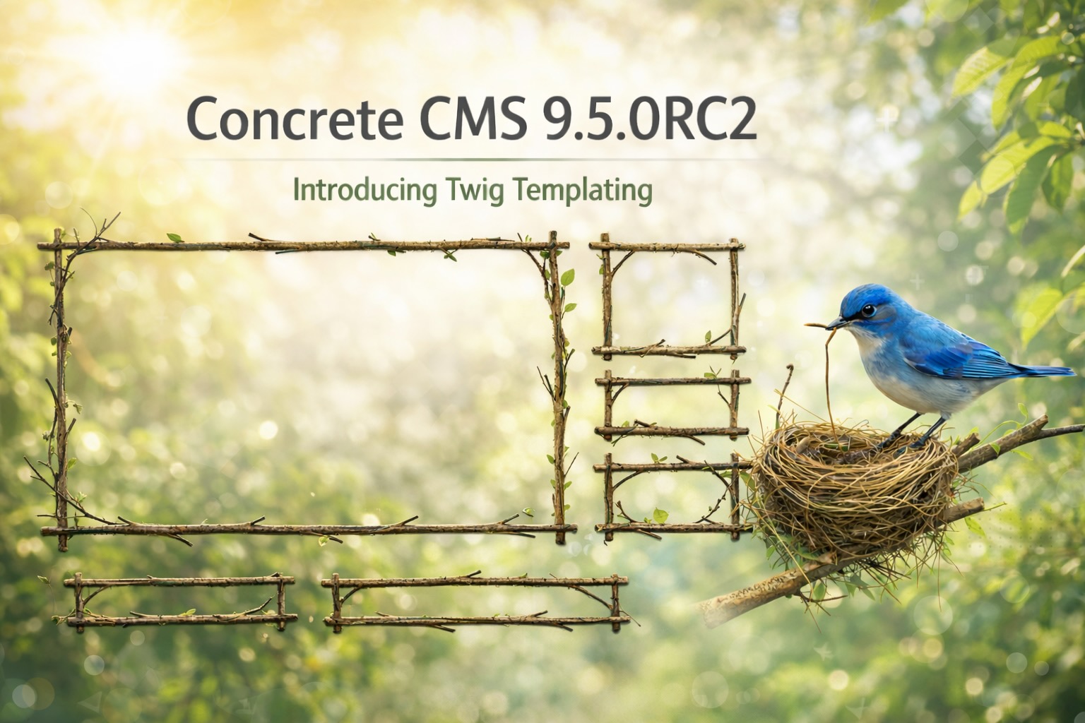 Announcing Concrete CMS 9.5.0RC2