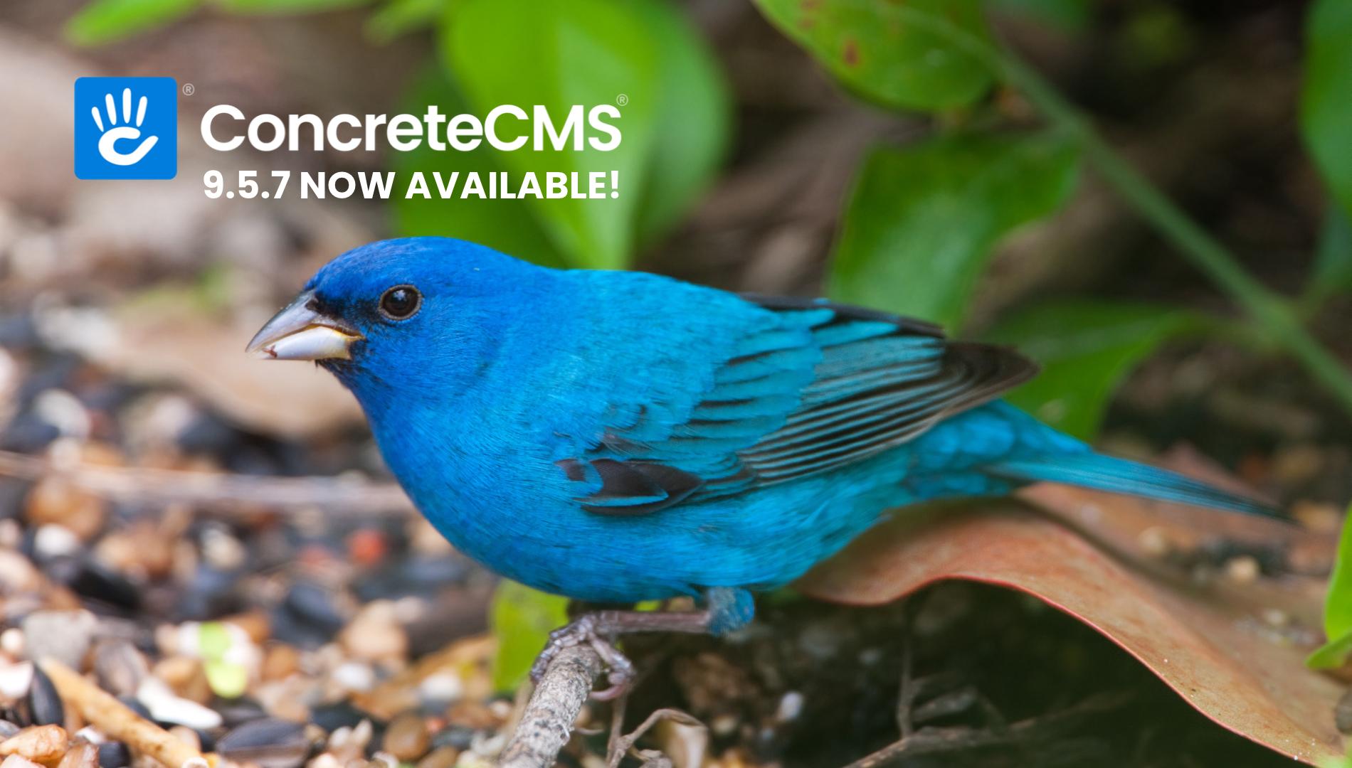 Concrete CMS 9.5.7 Is Available