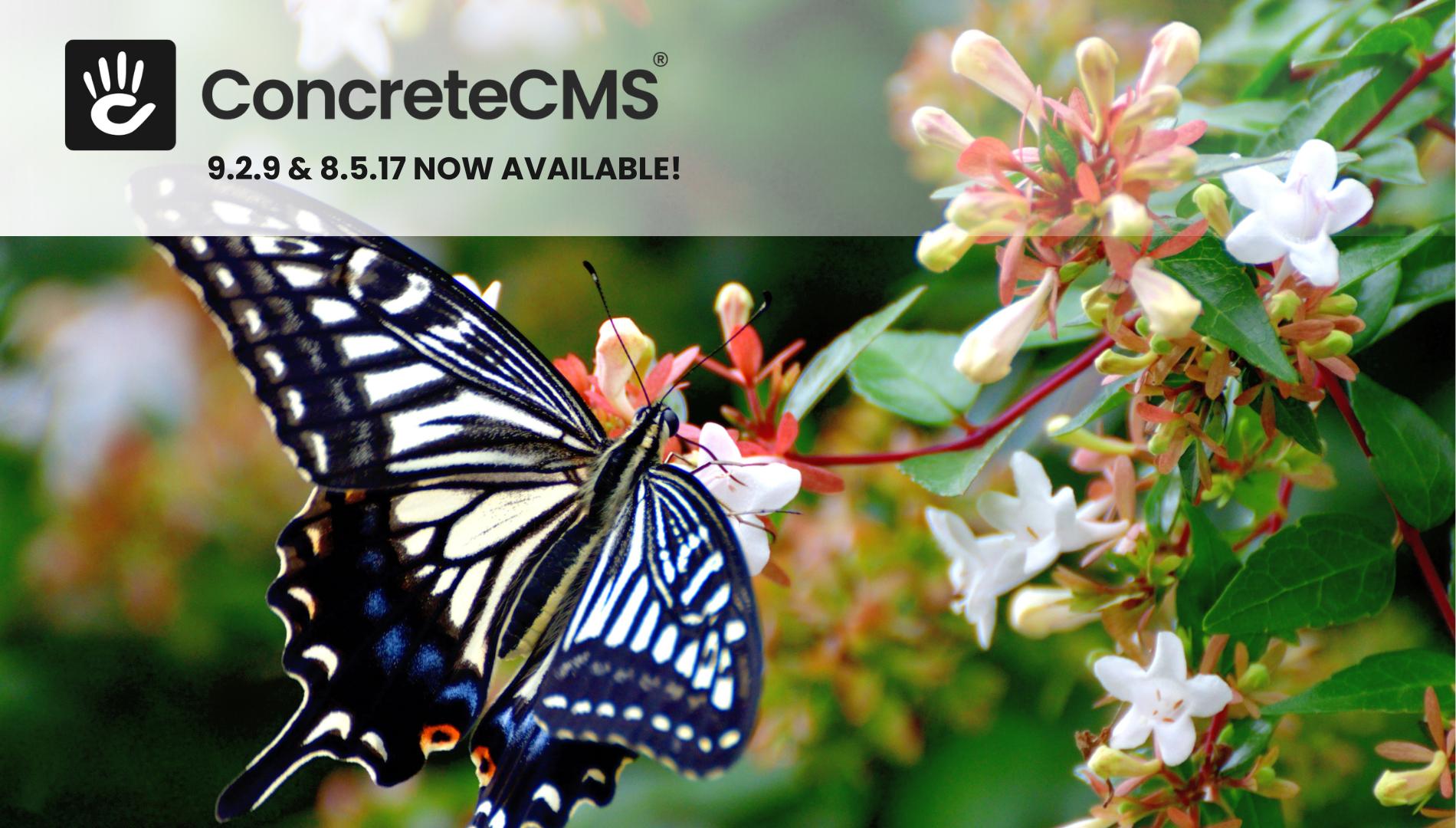 Announcing CMS 9.2.9 and 8.5.17 Release